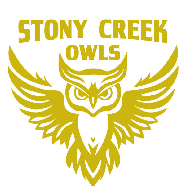 School Owls 04 Miniaturansicht