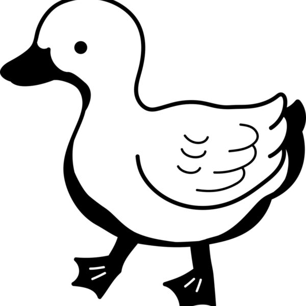 Duck   Clipart 2 Miniaturansicht