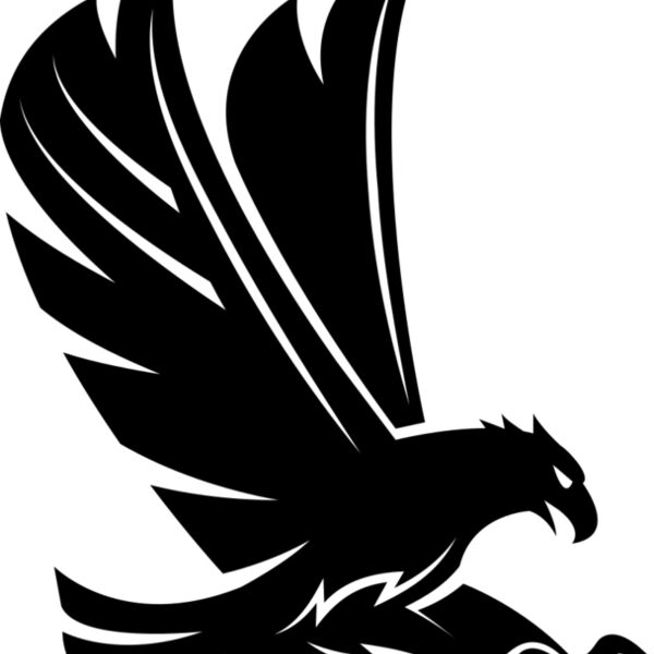 Eagle   Clipart 1 Miniaturansicht