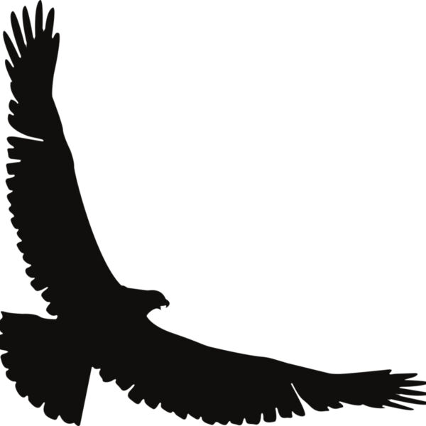 Eagle   Clipart 2 Miniaturansicht