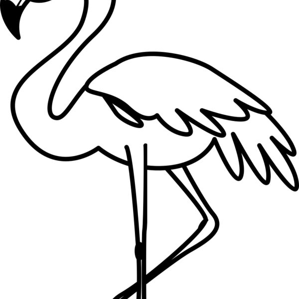 Flamingo   Clipart 3 Miniaturansicht