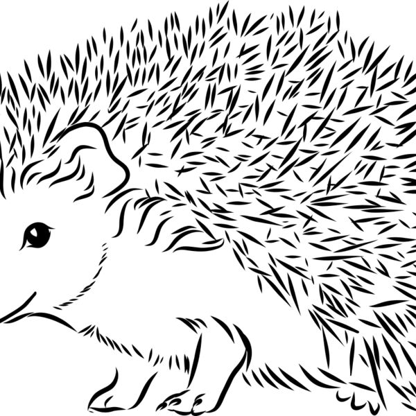 Hedgehog   Clipart 2 Miniaturansicht