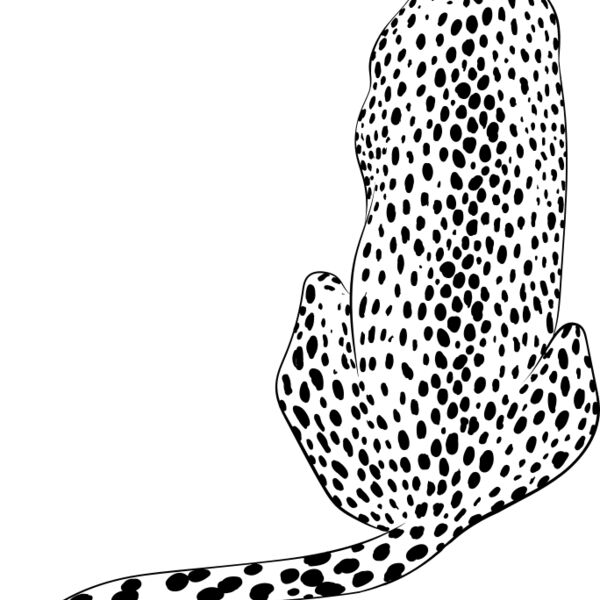 Leopard   Clipart 4 Miniaturansicht