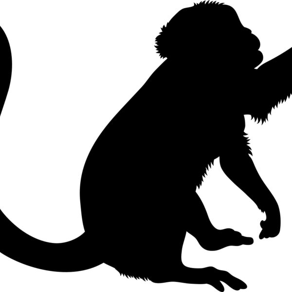 Monkey   Clipart 2 Miniaturansicht