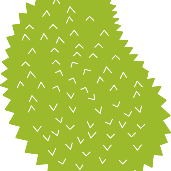 Jackfruit Miniaturansicht