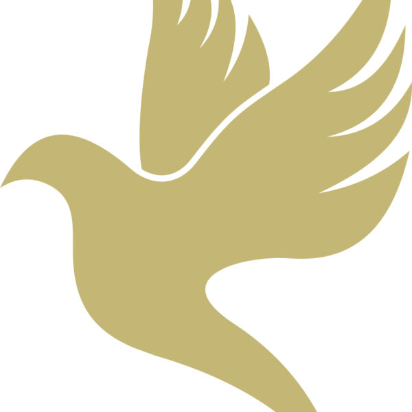 Dove 2 Miniaturansicht