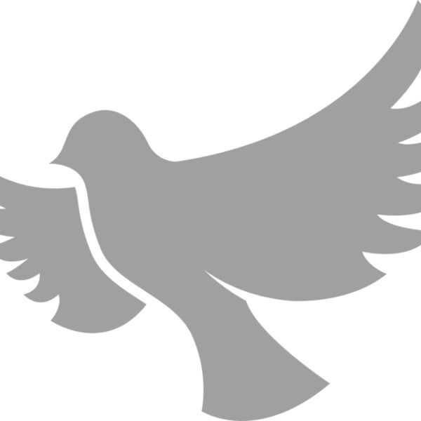 Dove Miniaturansicht