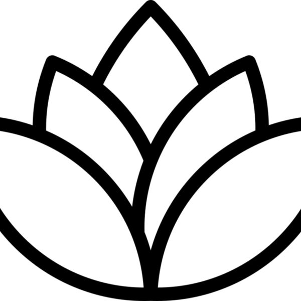 Lotus 1 Miniaturansicht
