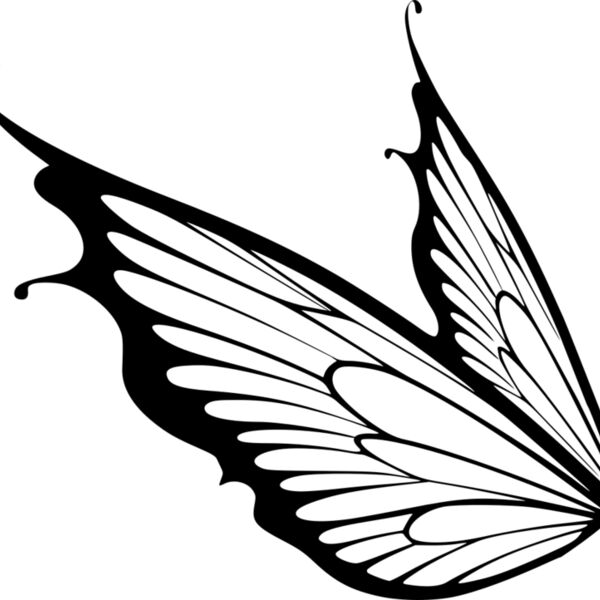 Fairy Wings 3 Miniaturansicht