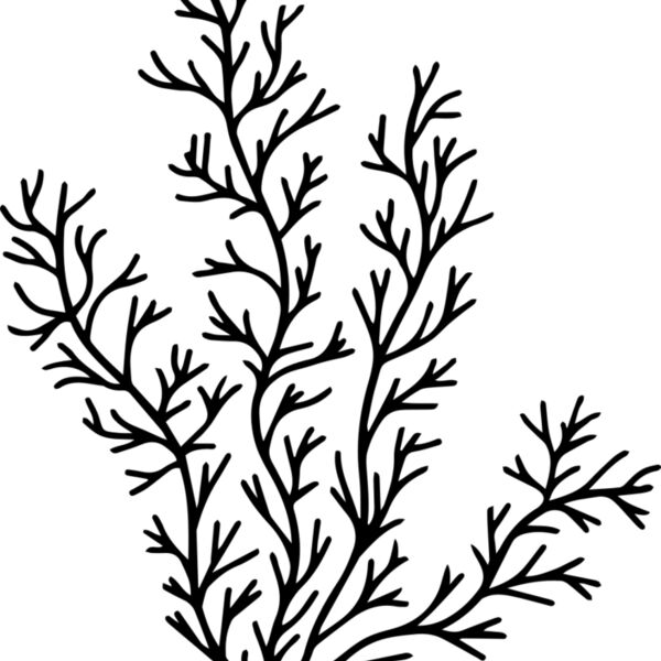 Herb Sprig Miniaturansicht
