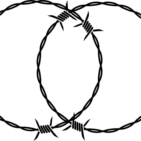 Double Barbed Wire Ring Miniaturansicht