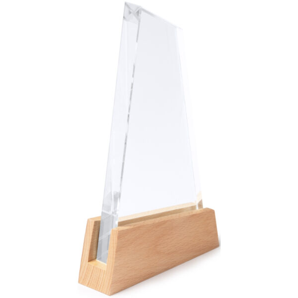 Navis-Trophäe mit Anpassung  Miniaturansicht