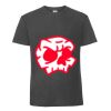 Herren T-Shirt Iconic 195 Ringspun Premium T Miniaturansicht