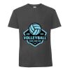 Herren T-Shirt Iconic 195 Ringspun Premium T Miniaturansicht