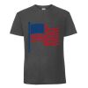 Herren T-Shirt Iconic 195 Ringspun Premium T Miniaturansicht